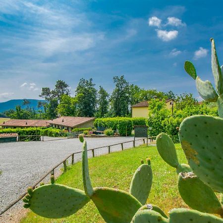 Holiday Home I Pini By Interhome San Macario In Piano Exteriér fotografie